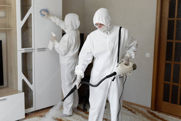 Best Post-Flood Mold Remediation in Bridgman, MI