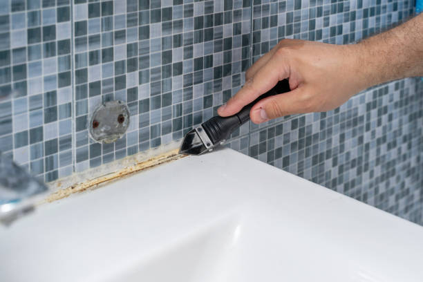 Best Mold Testing and Inspection Services in Bridgman, MI